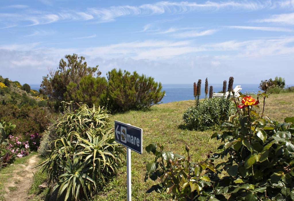 Gallo Nero Sant'Andrea (Isola d'Elba)