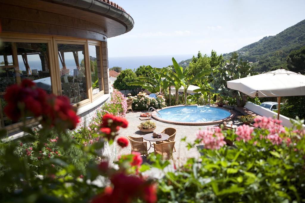Hotel Gallo Nero SantʼAndrea