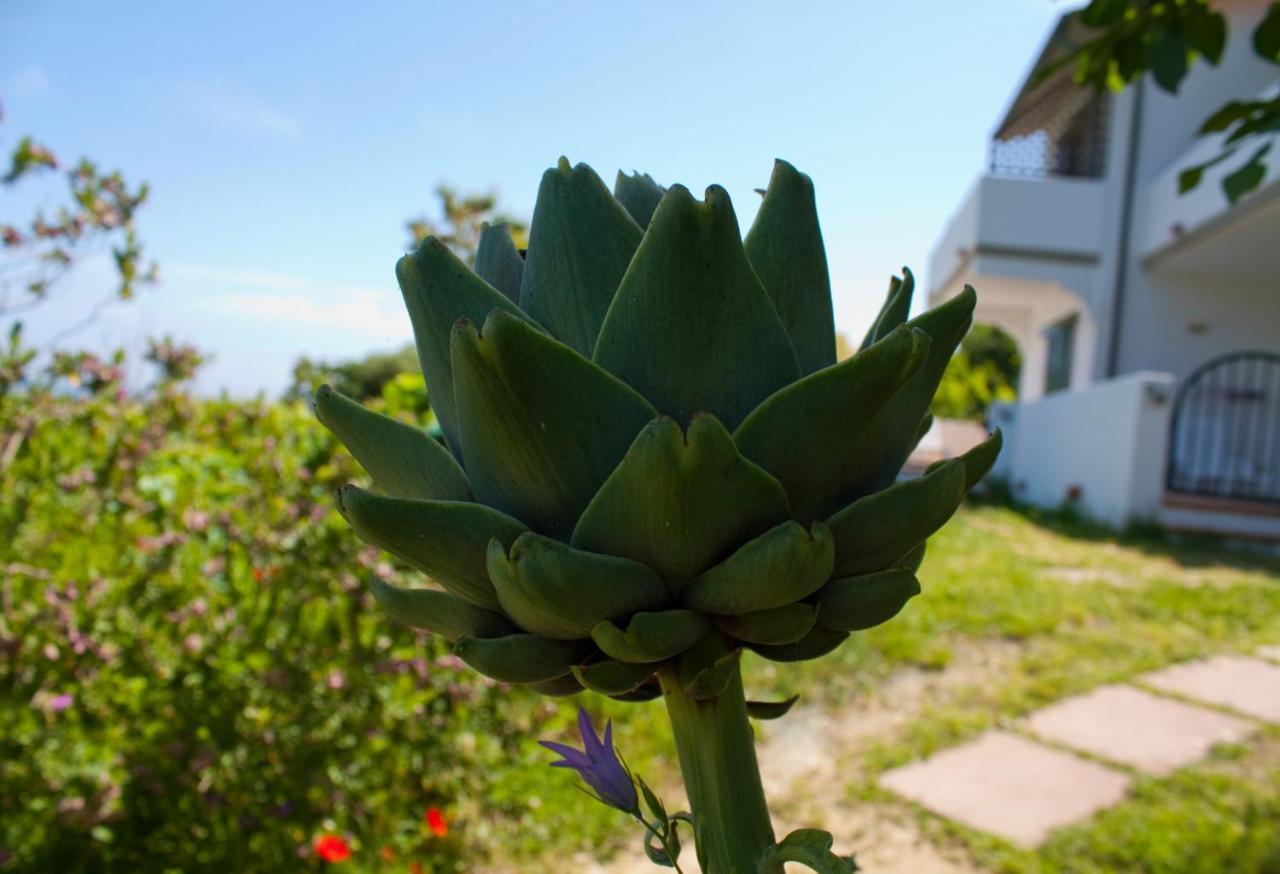 Gallo Nero Hotel SantʼAndrea