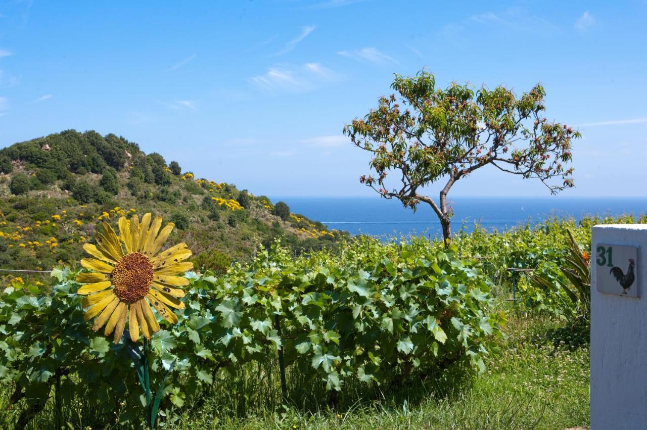 Gallo Nero Hotel SantʼAndrea