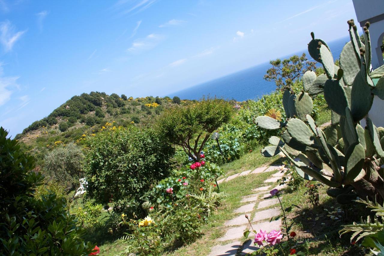 Gallo Nero Hotel SantʼAndrea