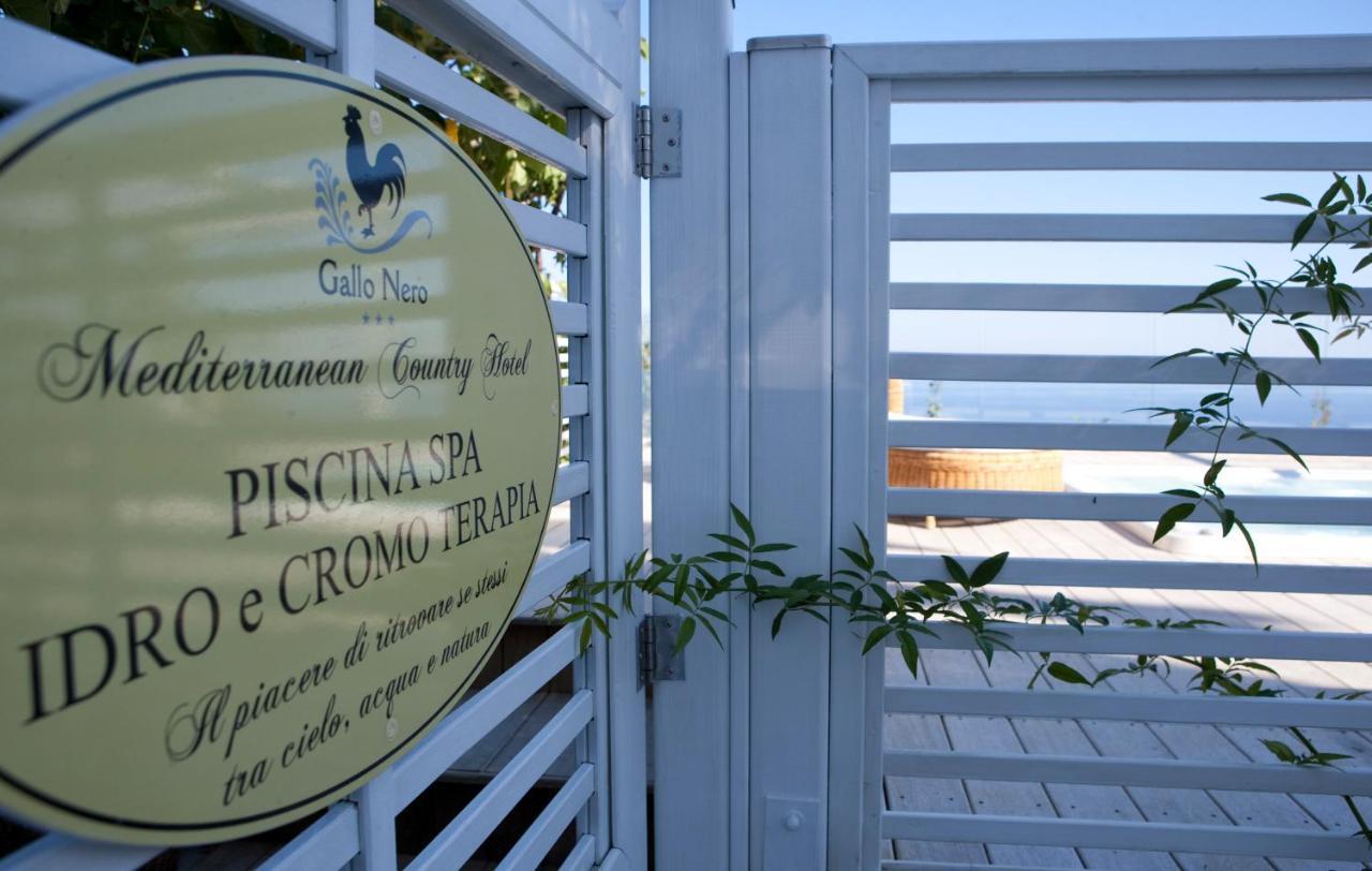 Gallo Nero Hotel SantʼAndrea