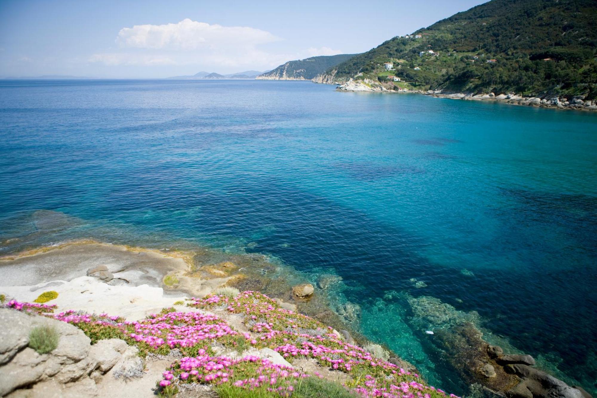 Hotel Gallo Nero 3*