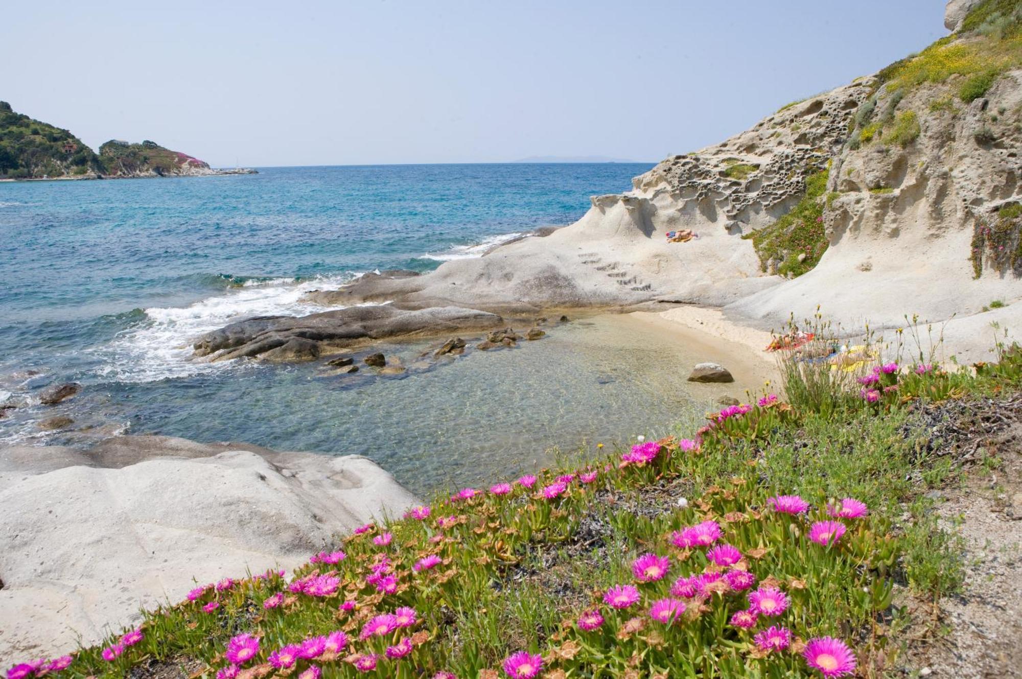 Hotel Gallo Nero Sant'Andrea (Isola d'Elba)